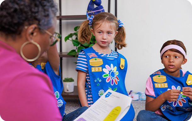 What Girl Scout Brownies Do