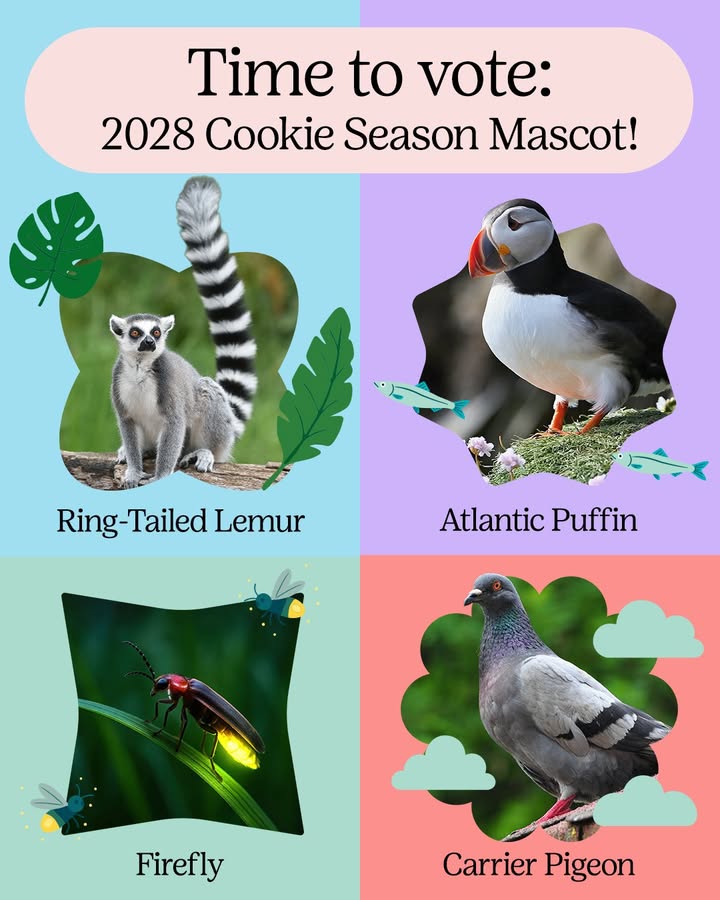 images from recent social media posts